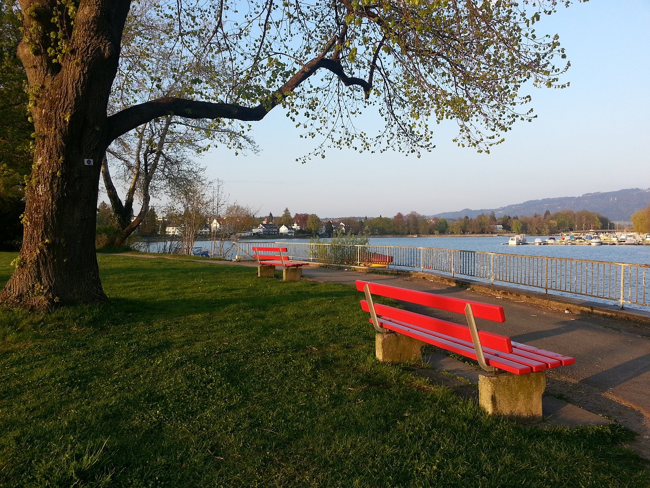 曾是中超一 曾是中超一