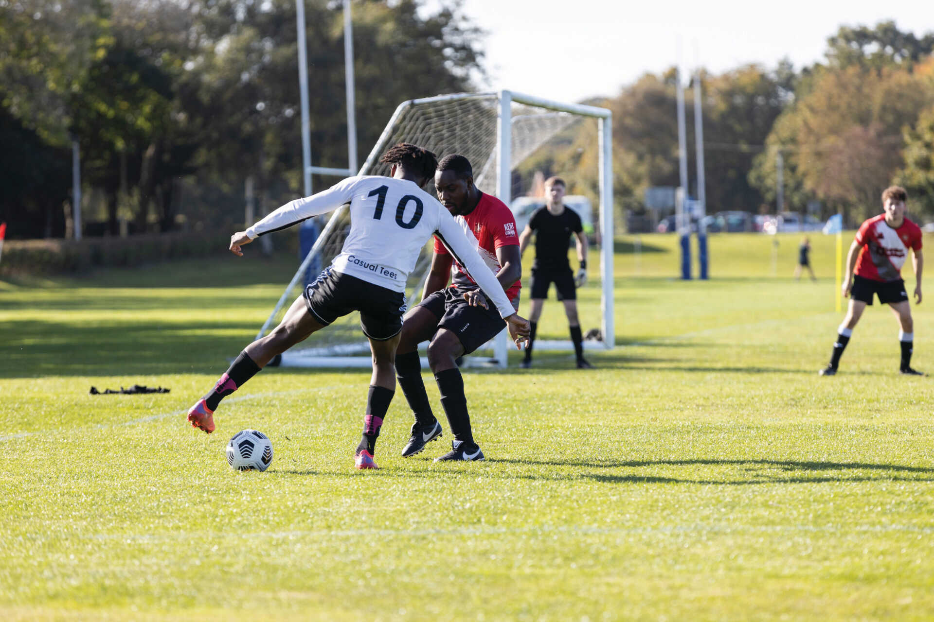 体青训璀璨 体青训璀璨