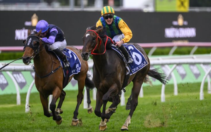 間的競爭加 間的競爭加